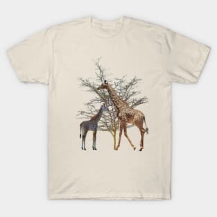 Giraffe - Wildlife - Africa T-Shirt